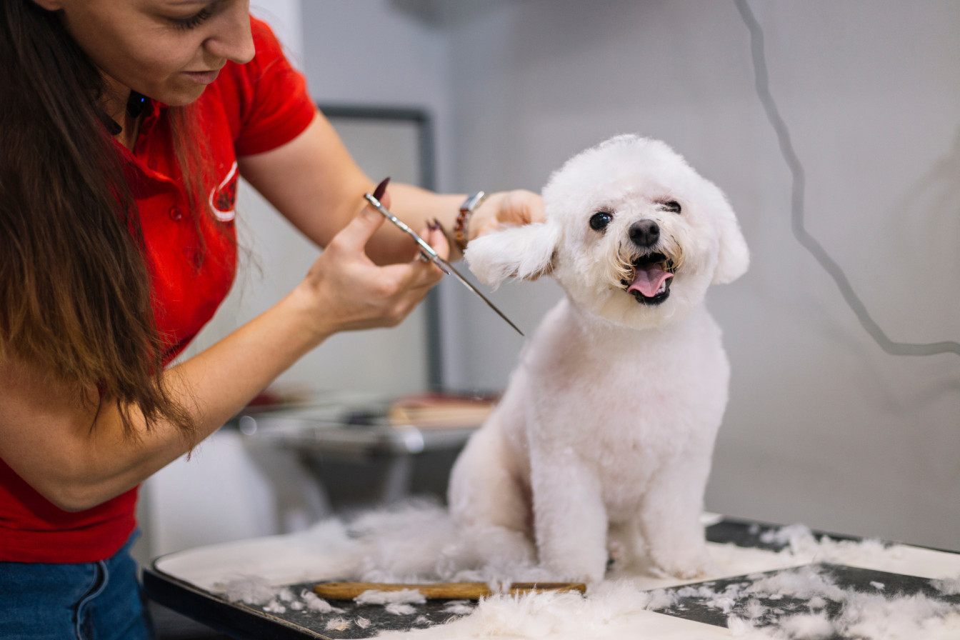 Grooming