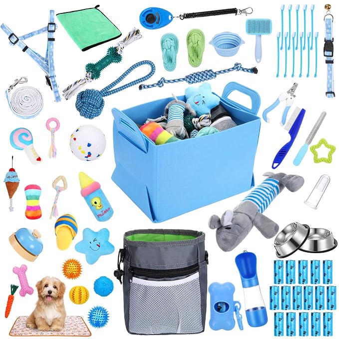 65 Pcs Puppy Supplies Starter Kit Blue Set of Small Dog Essentials Includes Dog Leash