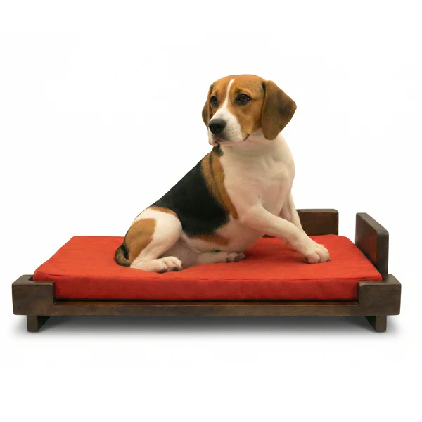 FurryLiving Barkly Bed with Cushion for Dogs (Dark Brown-Red Cushion) 32X21X9in