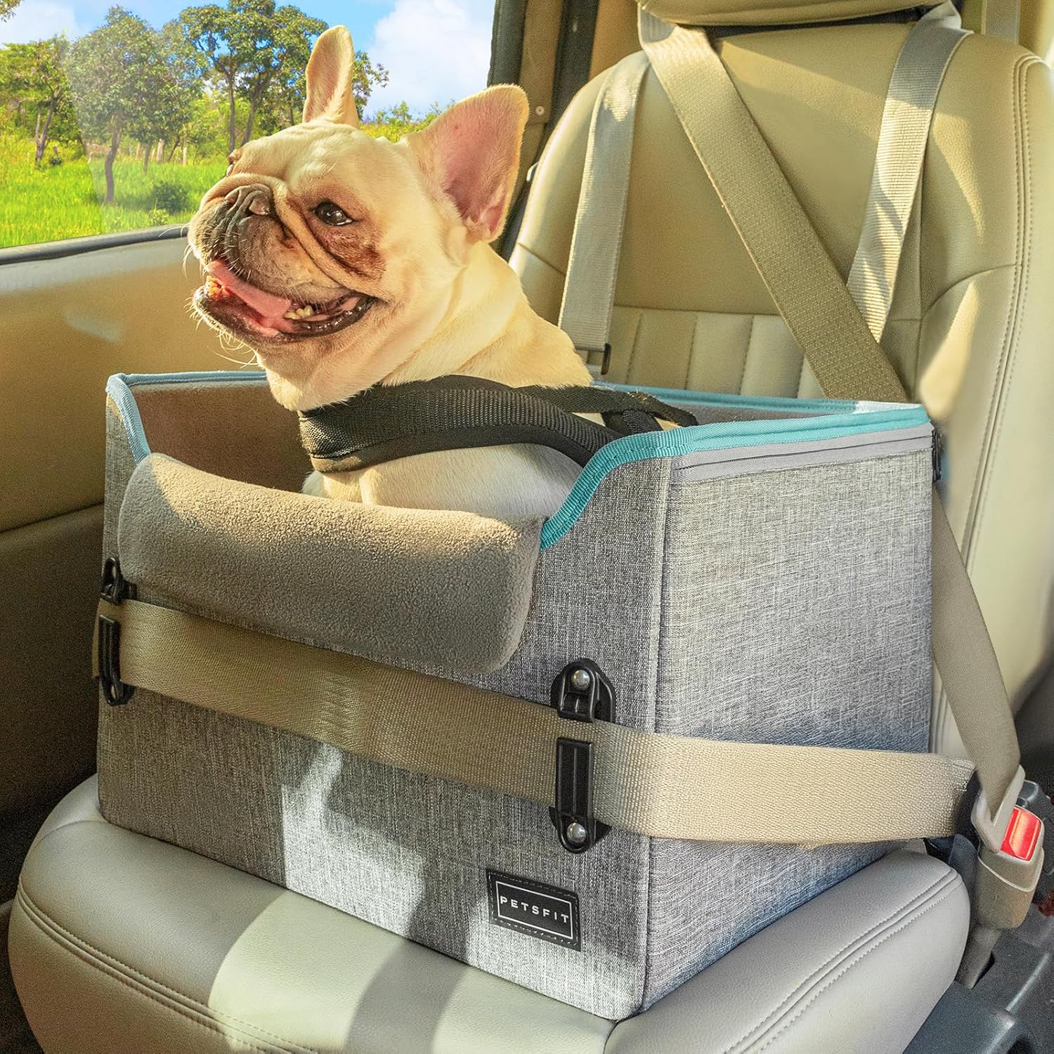 PETSFIT Small Dog Car Seat, Pet Booster Car Seat for Small Dogs, Puppy Portable Pet Booster Car Seat